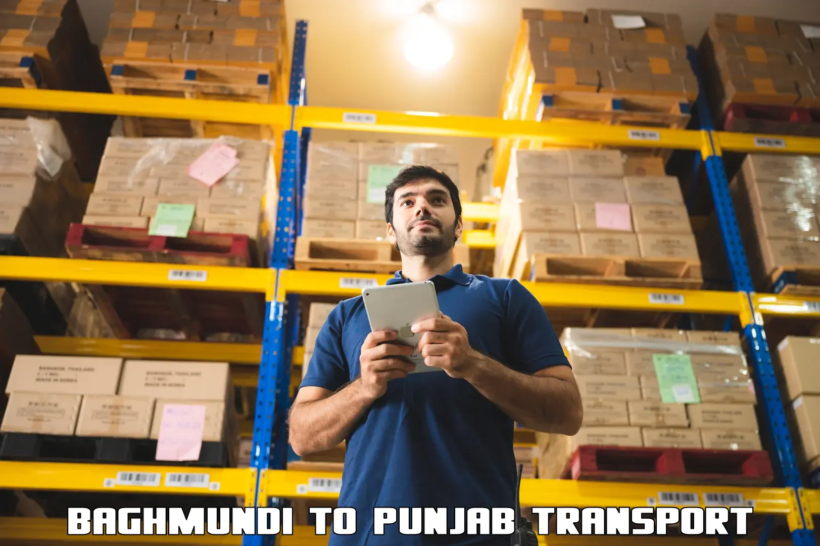 Two wheeler parcel service Baghmundi to Raikot