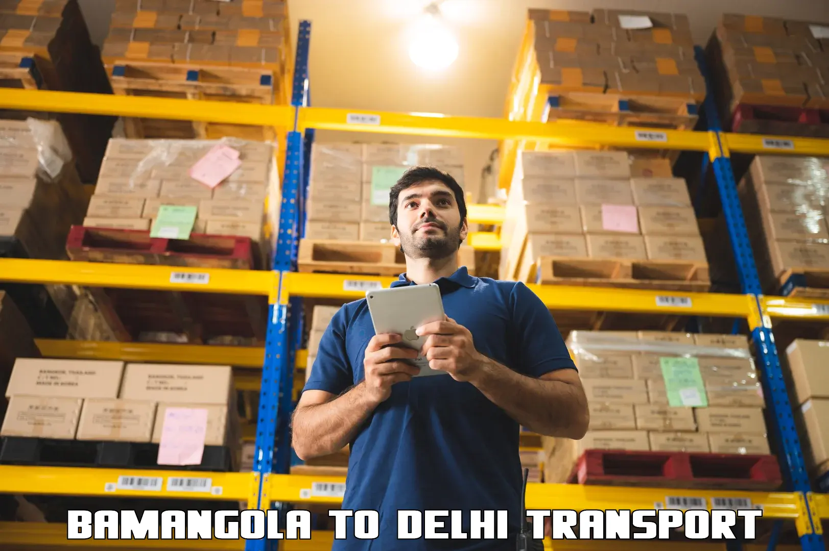 Delivery service in Bamangola to IIT Delhi