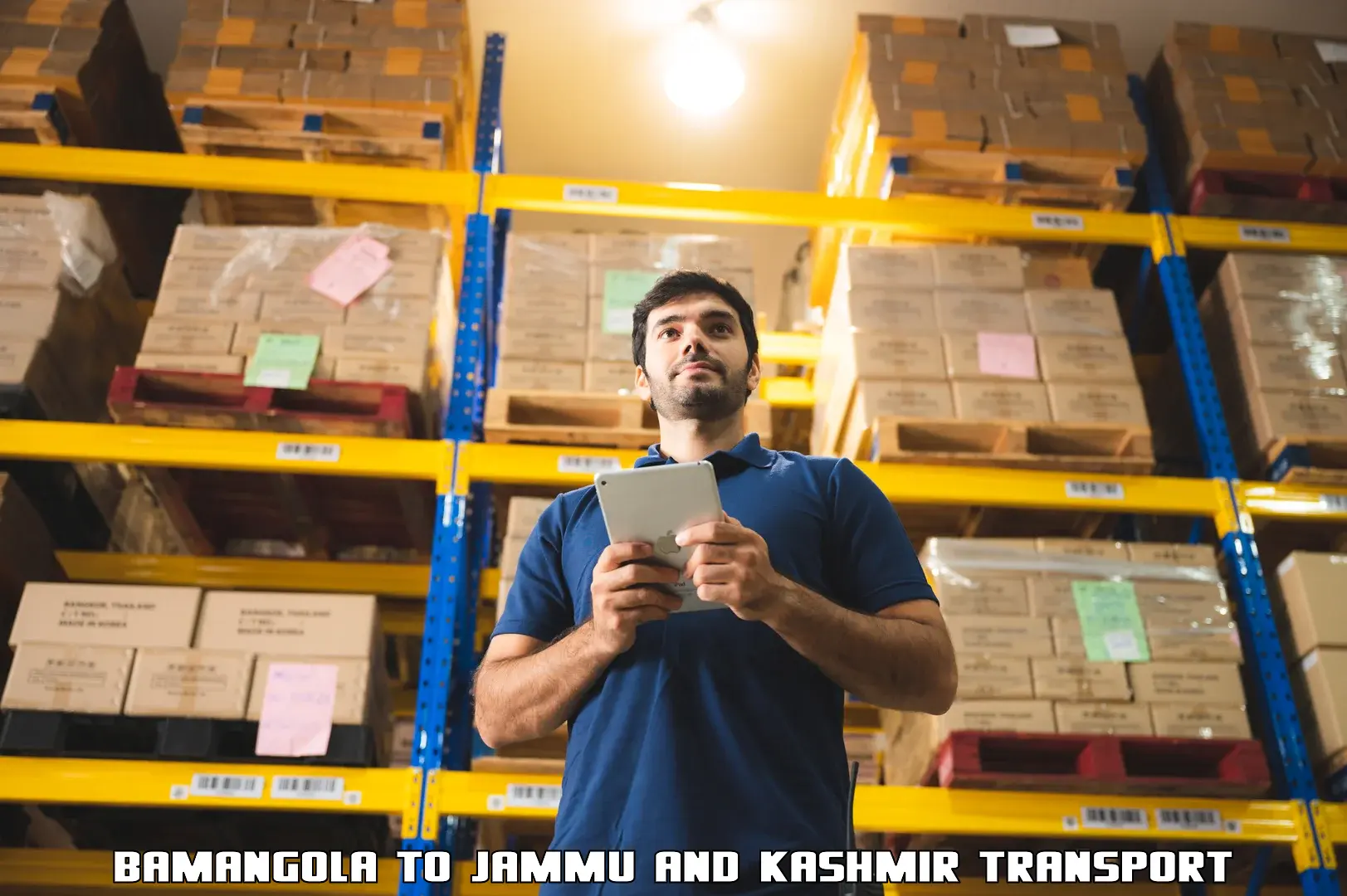 Container transportation services Bamangola to Jammu