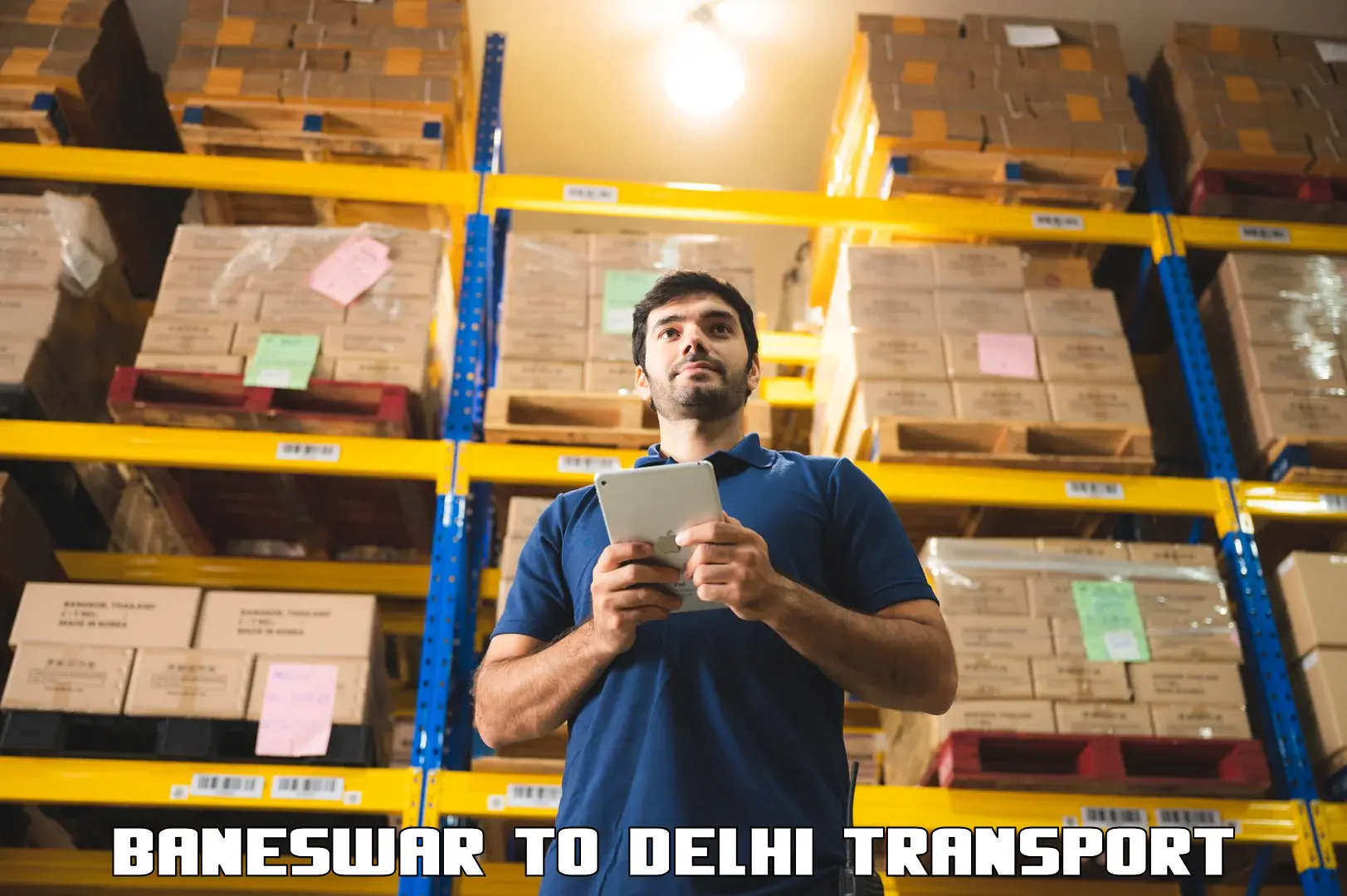 Interstate transport services Baneswar to Jamia Millia Islamia New Delhi