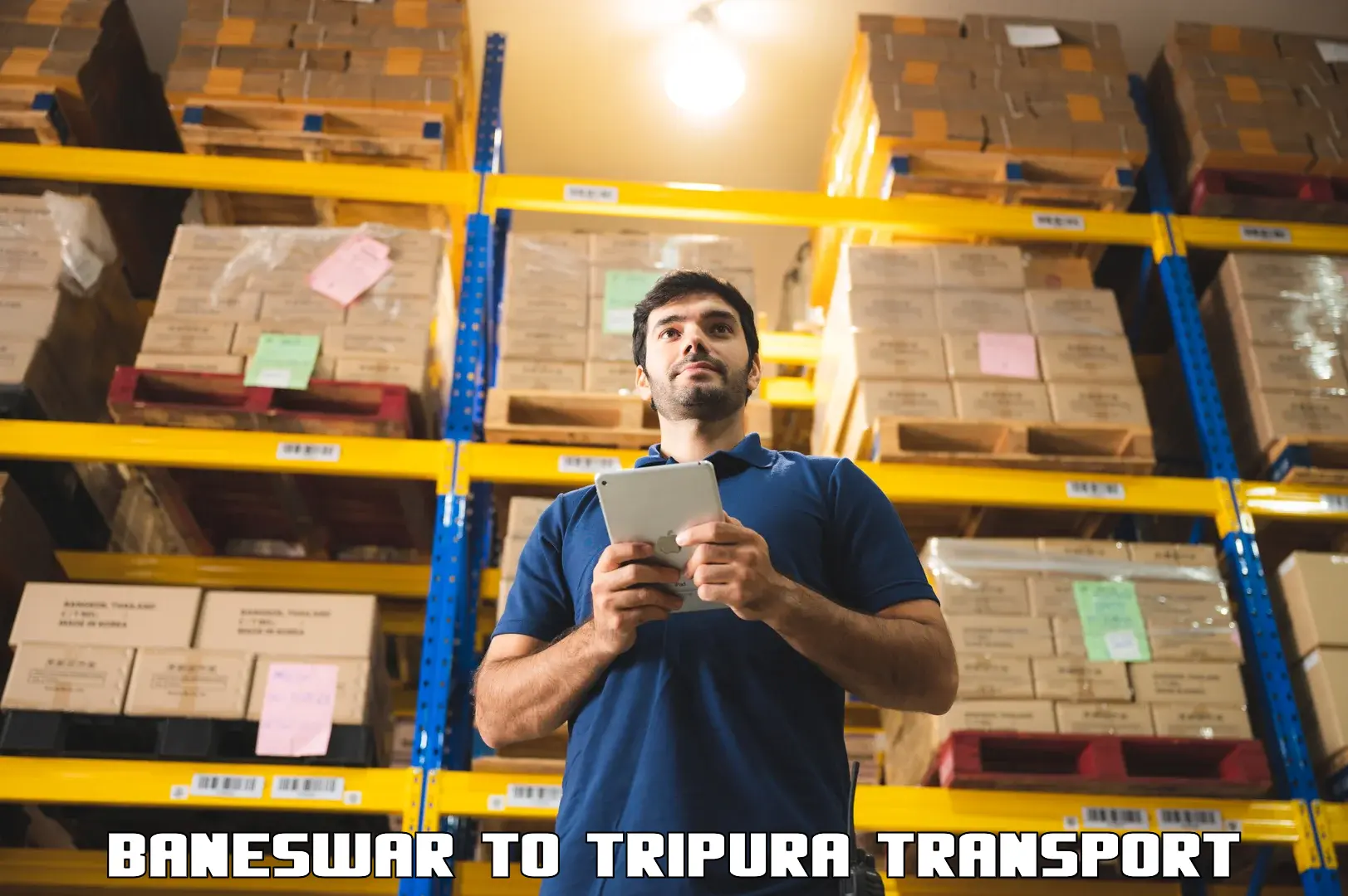 Two wheeler parcel service Baneswar to Tripura