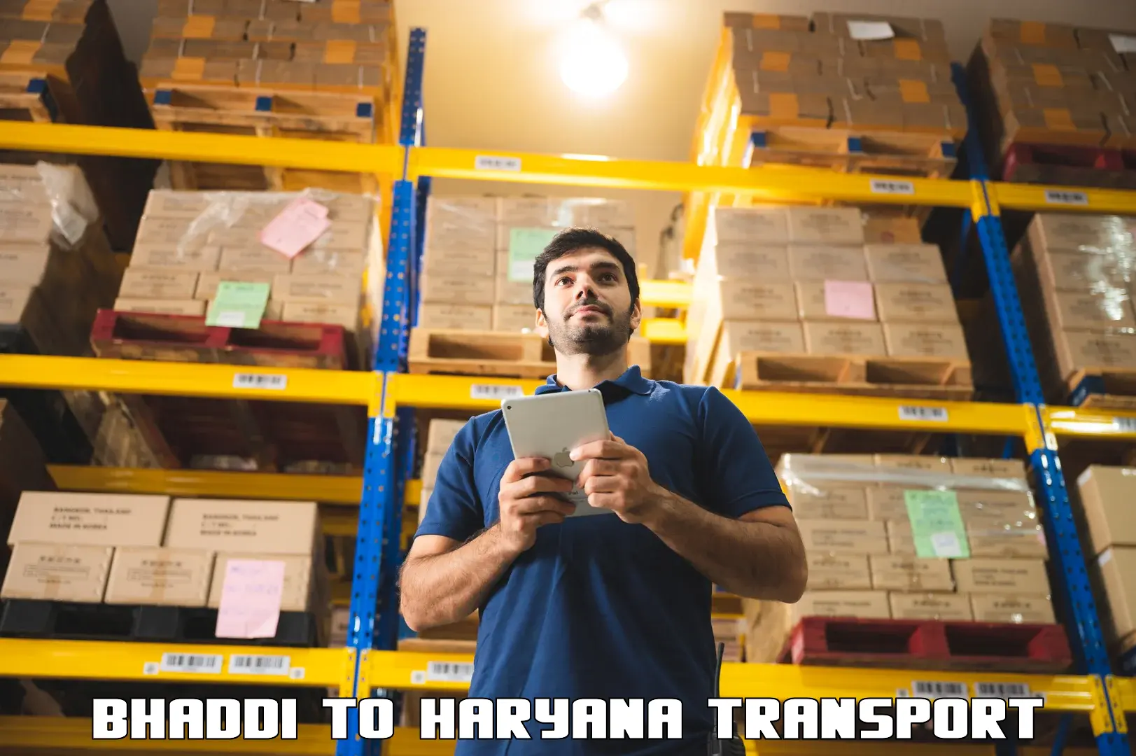 Goods transport services Bhaddi to NCR Haryana