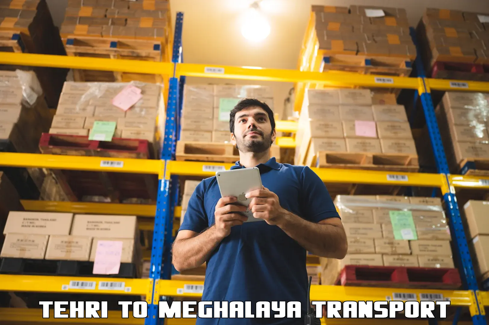 International cargo transportation services Tehri to Cherrapunji