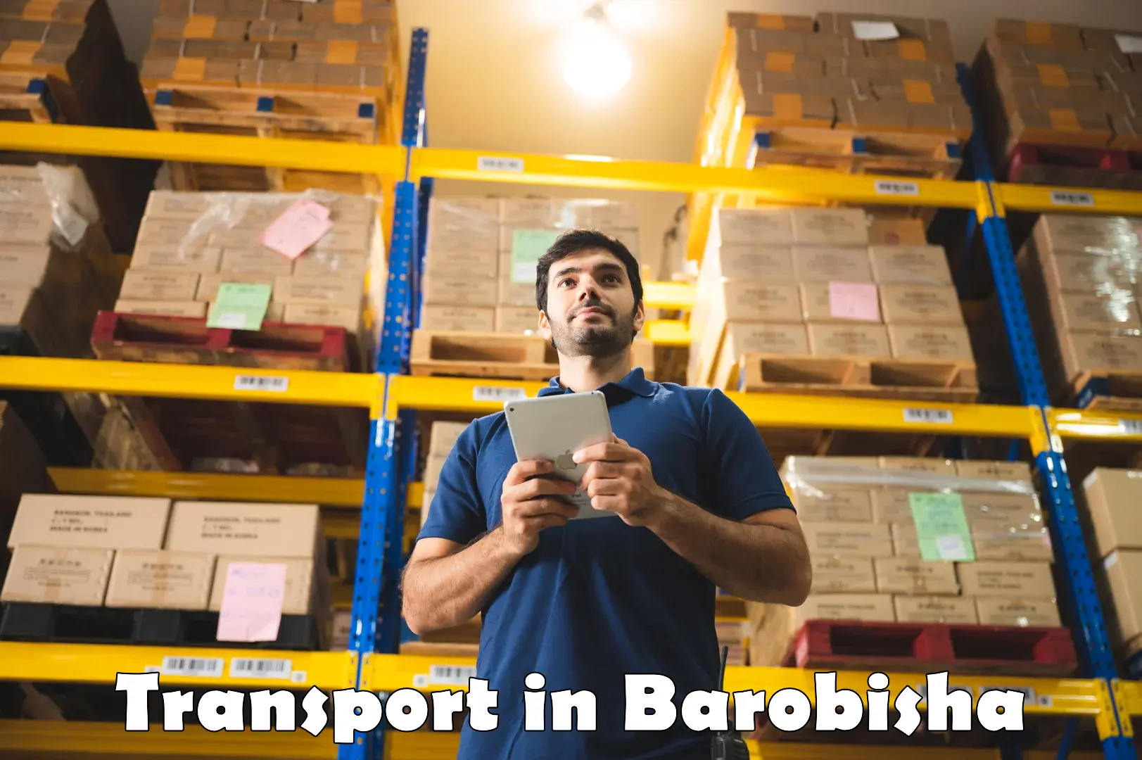 Air freight transport services in Barobisha